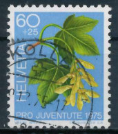 SCHWEIZ PRO JUVENTUTE Nr 1066 Gestempelt X6AA24A - Used Stamps