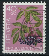 SCHWEIZ PRO JUVENTUTE Nr 1085 Gestempelt X6AA256 - Used Stamps