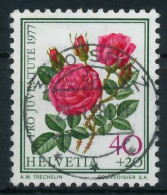 SCHWEIZ PRO JUVENTUTE Nr 1113 Zentrisch Gestempelt X6AA26A - Used Stamps