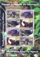 TOGO 2006 - W.W.F. -  Trionyx Du Sénégal - Bloc - Schildkröten