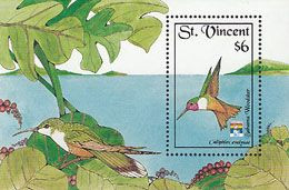 ST VINCENT 1992 - Genova - Oiseaux-mouche - BF 2 - Calliphlox Evelynae - Colibríes