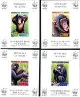 GUINEE 2006 - W.W.F. - Chimpanzee - 4 BF Luxe Non Dentelés - Nuevos