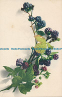 R089150 Old Postcard. Berries. Martin Rommel - Monde