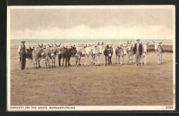 AK Burnham-on-Sea, Donkeys On The Sands, Esel Am Strand  - Asino