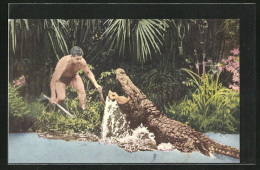 AK Silver Springs, Florida, Ross Allen`s Reptile Institute, Alligator Greift An  - Andere & Zonder Classificatie