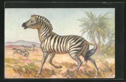 Künstler-AK Zebra In Der Afrikanischen Savanne  - Zèbres