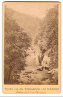 Fotografie E. Rose, Wernigerode, Ansicht Thale, Partie Von Der Teufelsbrücke Und Bodekessel  - Orte