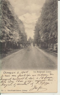 CARTES POSTALES    BELGIQUE     CHIMAY   ( PROVINCE DE HAINAUT )  LE BOULEVARD  LOUISE      1904. - Chimay