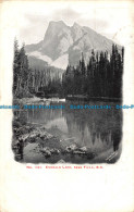 R089536 No. 1237. Emerald Lake Near Field. B. C. Bill Hopkins Collection. London - Andere & Zonder Classificatie