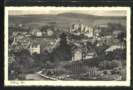 AK Stolberg, Ortsansicht Mit Burg  - Stolberg