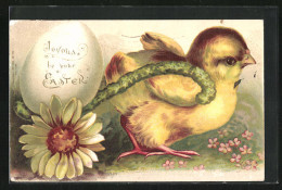 Lithographie Osterküken Zieht Ein Ei Im Blütenkarren  - Easter