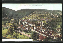 AK Triberg / Schwarzwald, Gesamtansicht  - Triberg