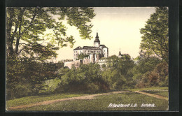 AK Friedland / Frydlant, Blick Auf Schloss Aus Wald Heraus  - Tchéquie