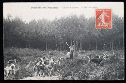 Pont Sainte Maxence  - Chasse à Courre  - Hallali Sur Pieds - Jacht