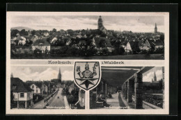 AK Korbach I. Waldeck, Hindenburgstrasse Mit Geschäft, Am Schlageterpark, Teilansicht  - Waldeck