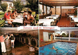 73864892 Leiwen Mosel Pension Leew Wiesengrund Gastraum Terrasse Weinkeller Hall - Autres & Non Classés