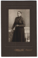 Fotografie S. Wilhelm Nachf., Neunkirchen, Bahnhofstr. 42, Bürgerliche Dame Im Kleid  - Anonymous Persons