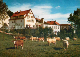 72919586 Winterkasten Lindenfels Gasthaus Pension Zur Traube Viehweide Kuehe Lin - Sonstige & Ohne Zuordnung