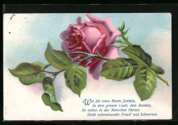 Präge-AK Rose In Voller Blüte  - Sonstige & Ohne Zuordnung