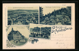 AK St. Andreasberg, Ortsansicht Vom Glockenberg, Rehberger Grabenhaus, Postamt Mit Denkmal  - St. Andreasberg