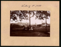 Fotografie Brück & Sohn Meissen, Ansicht Colditz I. Sa., Kinder Auf Der Bank Mit Blick Auf Die Stadt  - Lugares