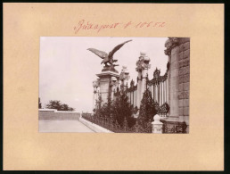 Fotografie Brück & Sohn Meissen, Ansicht Budapest, Burggarten Mit Turul  - Lugares