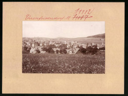 Fotografie Brück & Sohn Meissen, Ansicht Ehrenfriedersdorf, Panorama Von Einer Weide Gesehen  - Lugares