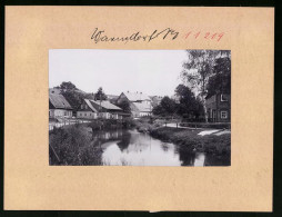 Fotografie Brück & Sohn Meissen, Ansicht Warnsdorf I. B., Häuserpartie An Der Mandau  - Places