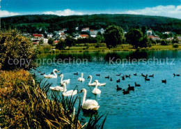 72915120 Bad Koenig Odenwald Kurpark See Schwaene Enten Bad Koenig - Bad Koenig