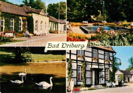 72914778 Bad Driburg Kurhaus Schwanenteich Park Teich Fachwerkhaus Alhausen - Bad Driburg