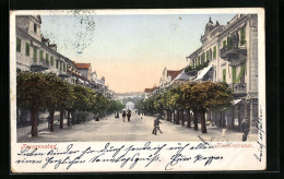 AK Franzensbad, Kaiserstrasse Mit Alleebäumchen  - Czech Republic