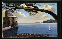Cartolina Rapallo, Il Castello  - Altri & Non Classificati