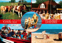 72913791 Dahme Ostseebad Kuehe Strand Rudolf Hoeppner  Dahme - Other & Unclassified