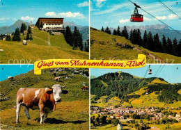 72913746 Kitzbuehel Tirol Hahnenkamm- Bergstation Seilbahn Kuh  Kitzbuehel - Autres & Non Classés