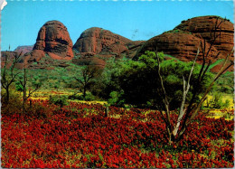 12-5-2024 (4 Z 46) Australia (posted With Sheep Shearing Stamp) NT - The Olgas - Mt Olga Group The Katu Malu - Uluru & The Olgas