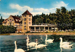 72913660 Ueberlingen Bodensee Seepartie Kurgarten Schwaene Ueberlingen - Ueberlingen