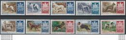 1956 San Marino Cani Di Razza 10v. MNH Sassone N. 439/48 - Andere & Zonder Classificatie