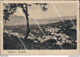 At712 Cartolina Gragnano Panorama Provincia Di Napoli - Napoli