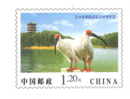 China 2009, Postal Stationary, Pre-Stamped Cover $1.20, Crane, MNH** - Cranes And Other Gruiformes