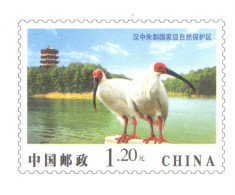 China 2006, Postal Stationary, Pre-Stamped Cover $1.20, Crane, MNH** - Aves Gruiformes (Grullas)