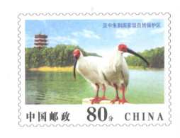 China 2006, Postal Stationary, Pre-Stamped Cover 80-Cent, Crane, MNH** - Gru & Uccelli Trampolieri