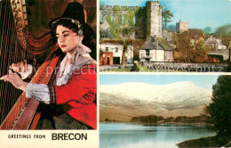 73781361 Brecon UK The Castle Panorama Zitherspielerin  - Otros & Sin Clasificación