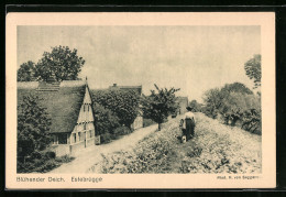 AK Estebrügge, Blühender Deich Mit Spaziergängerin  - Sonstige & Ohne Zuordnung