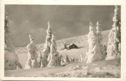 Krkonose - Klinova Bouda - Tsjechië