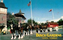 72919798 Tampa_Florida Busch Gardens - Sonstige & Ohne Zuordnung