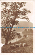 R090624 284. Rydal Water. Early Morning. Abrahams Series. 1913 - Mundo