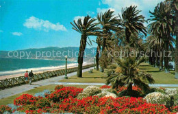 72907137 Santa_Monica Gorgeous Geranium Bed Windswept Palisades Park - Andere & Zonder Classificatie