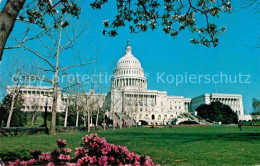 72907130 Washington DC United States Capitol Building   - Washington DC