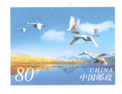 China 2002, Postal Stationary, Pre-Stamped Cover 80-Cent, MNH** - Zwanen