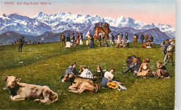 13926464 Rigi_Kulm Liegewiese Alpenpanorama - Andere & Zonder Classificatie